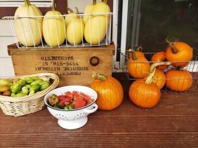 Cure Vegetables for Year-Round Storage (Even Without a Root Cellar) Image